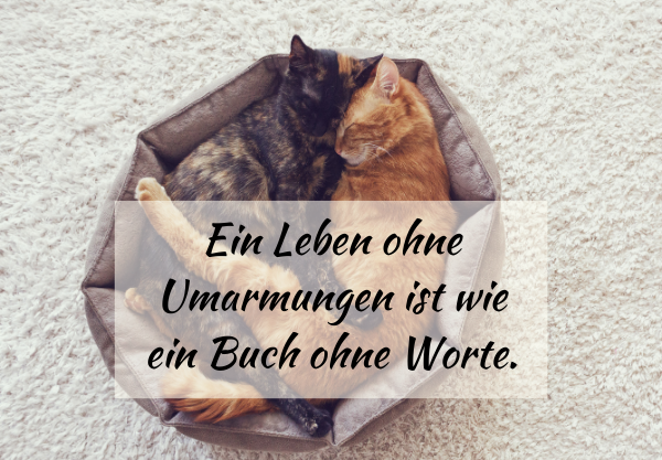 Die bedeutung des weltknuddeltags: so kann eine umarmung konflikte lösen 14 13 18