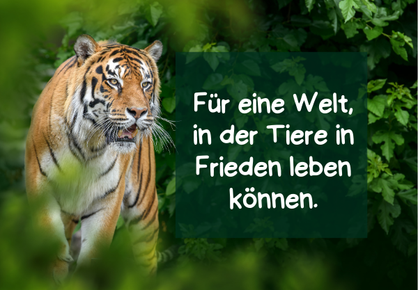 Tierschutz durch bilder: inspirierende illustrationen zum welttierschutztag 21 20 15