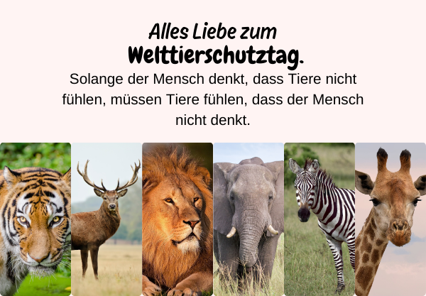 Tierschutz durch bilder: inspirierende illustrationen zum welttierschutztag 8 7 26
