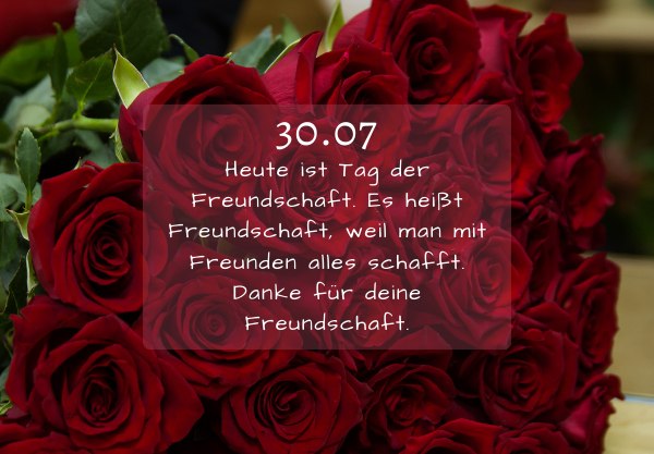 Zitate zum tag der freundschaft: worte, die das herz berühren 8 7 41