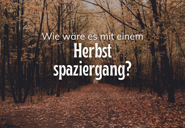 Zauberhafte herbstsprüche: inspiration für die goldene jahreszeit 17 16
